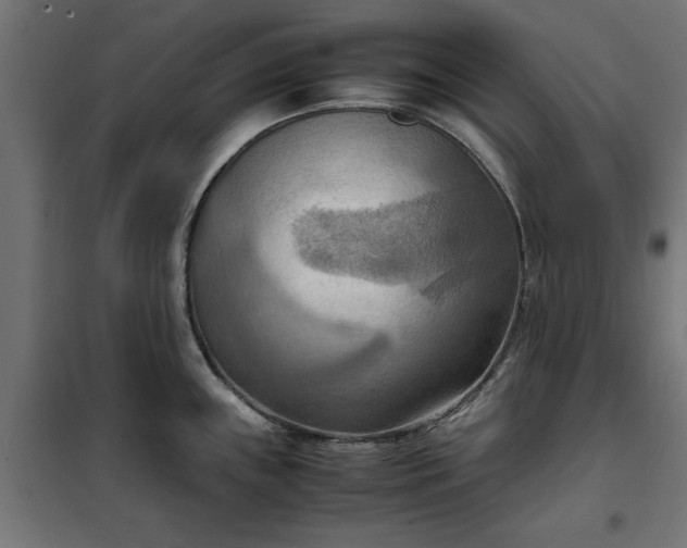 X0000100481243200806201622