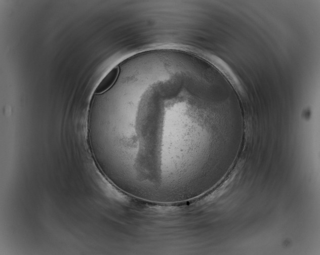 X0000100481244200806201622