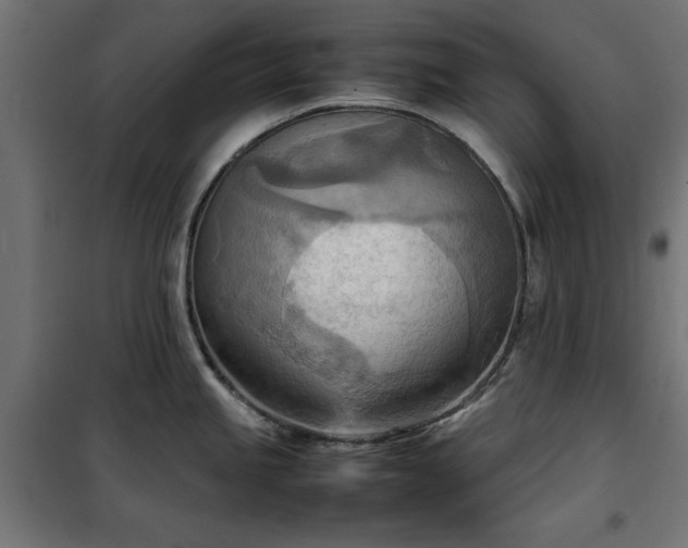 X0000100481245200806201622