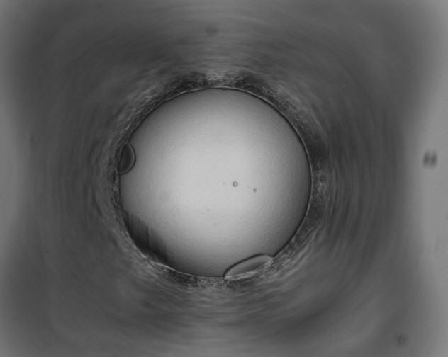 X0000100481249200806201622