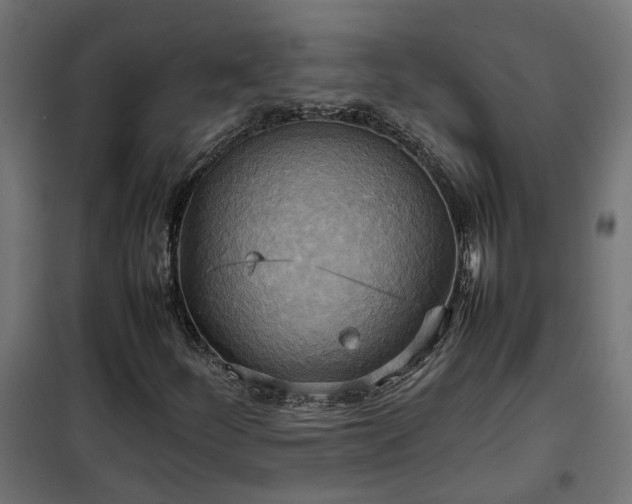 X0000100481252200806201621