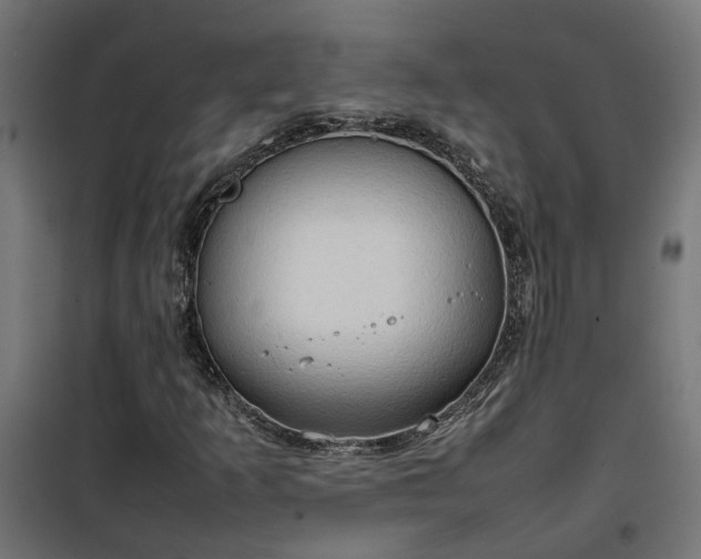 X0000100481253200806201621