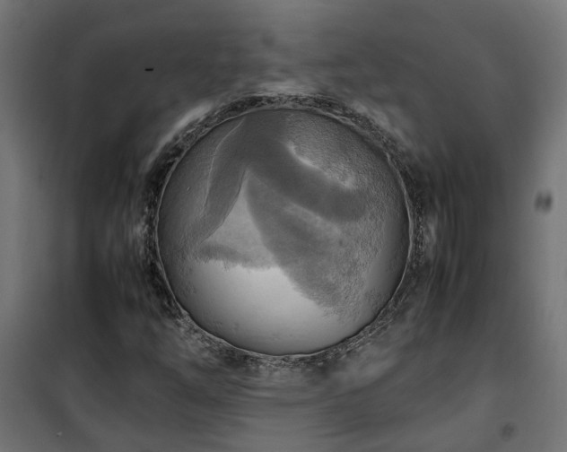 X0000100481254200806201621