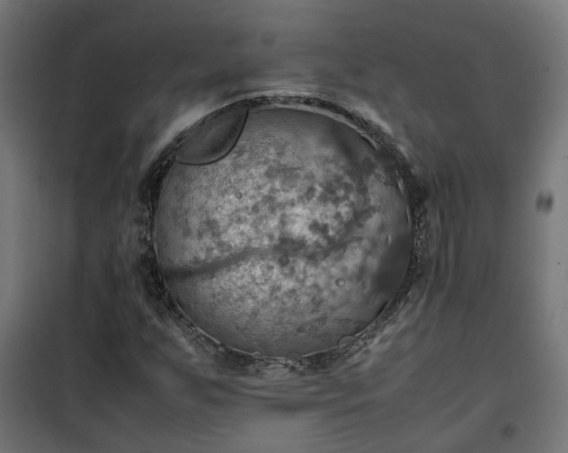 X0000100481255200806201621