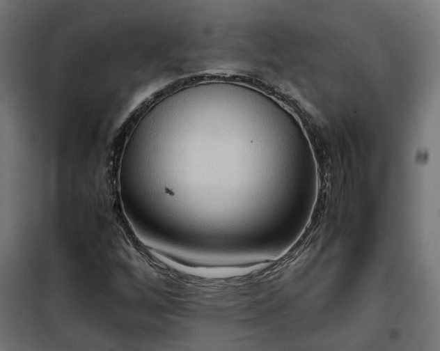 X0000100481256200806201621
