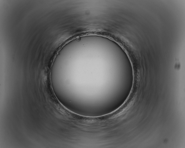 X0000100481257200806201621