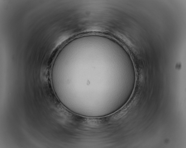 X0000100481258200806201621