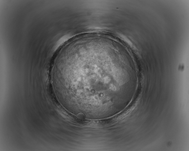 X0000100481259200806201621