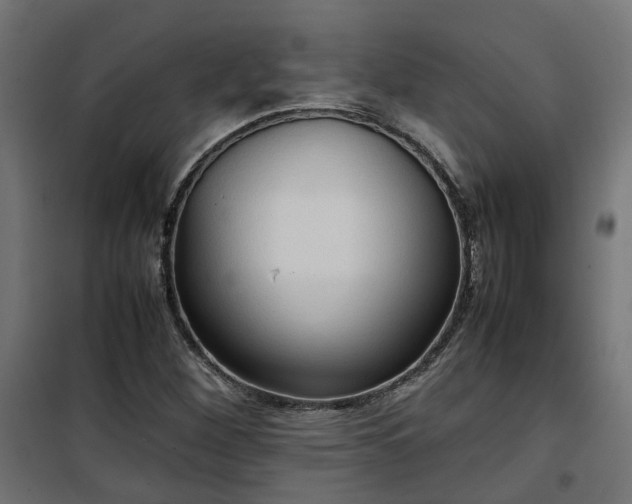 X0000100481260200806201621