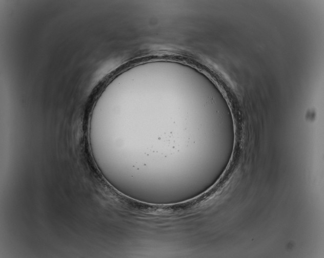 X0000100481261200806201621