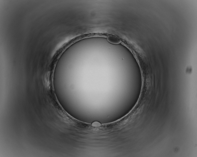 X0000100481262200806201621