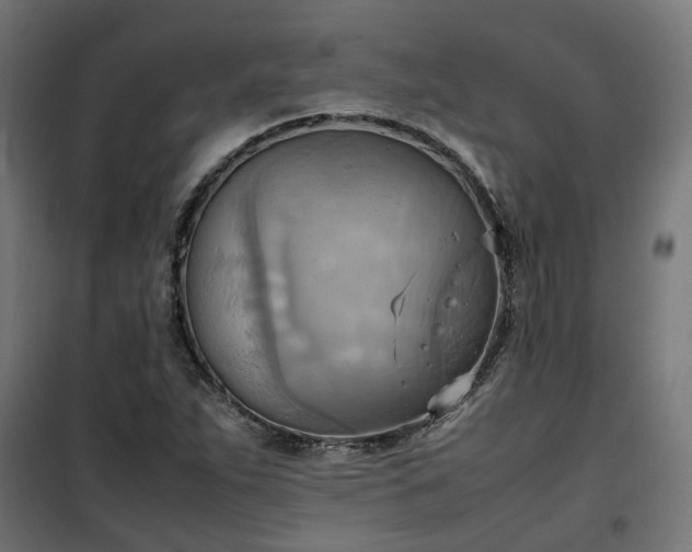 X0000100481263200806201621