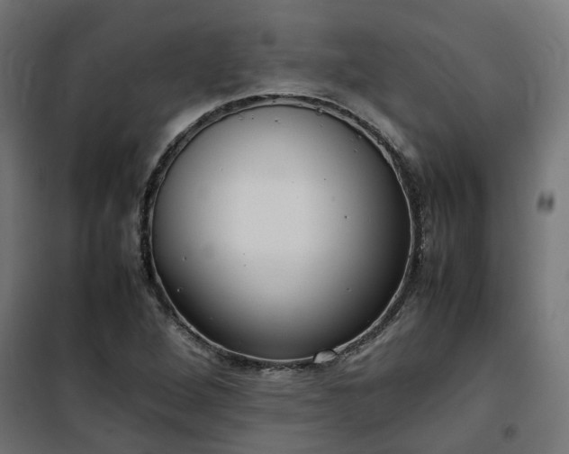 X0000100481264200806201621