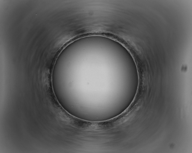 X0000100481265200806201621