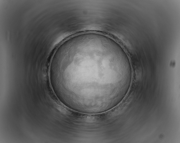 X0000100481266200806201621