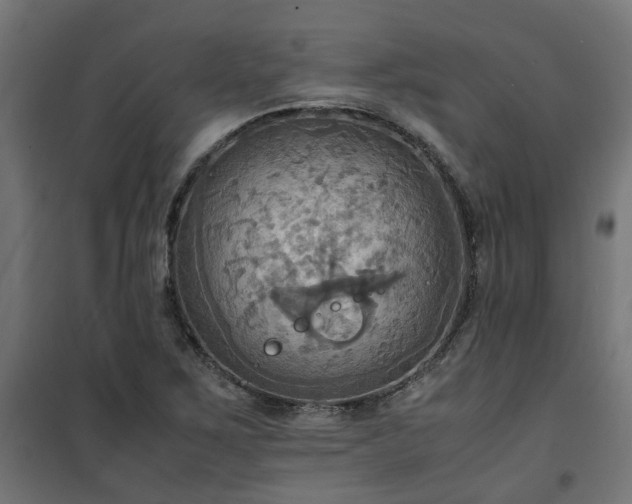 X0000100481267200806201621