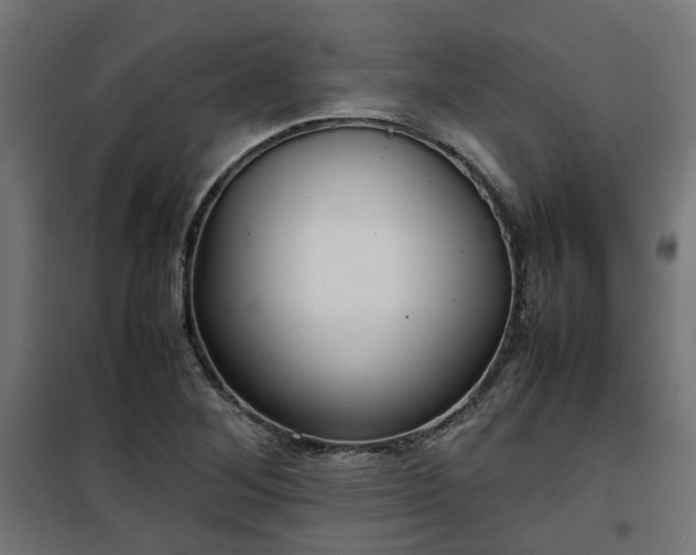 X0000100481268200806201621