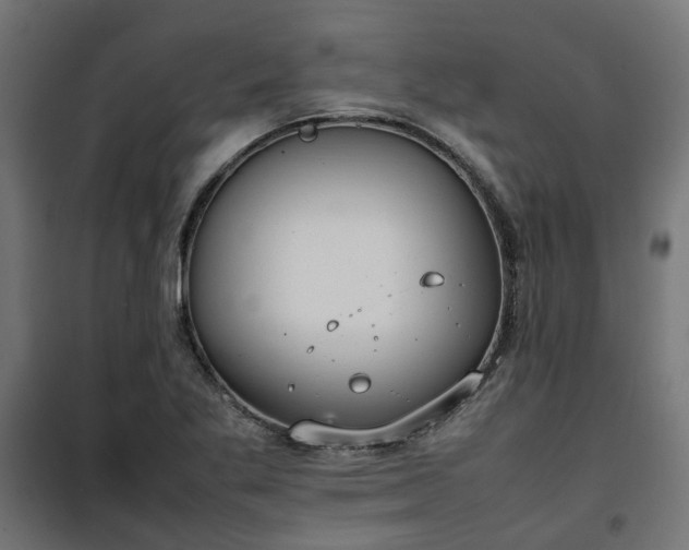 X0000100481269200806201621