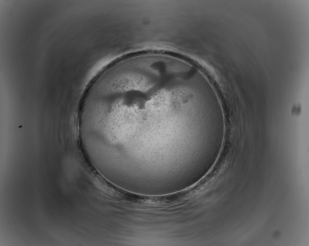 X0000100481271200806201621