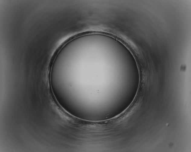 X0000100481272200806201621