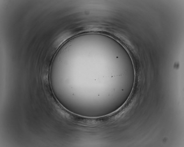 X0000100481273200806201621