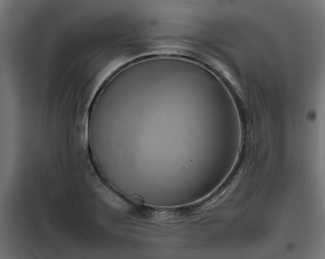 X0000100481275200806201621