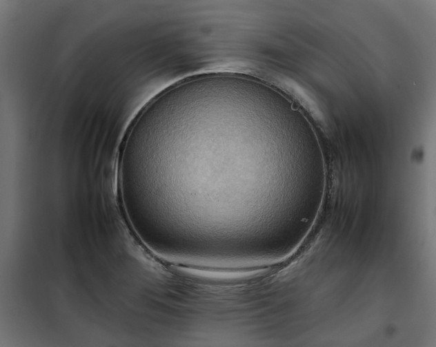 X0000100481276200806201621