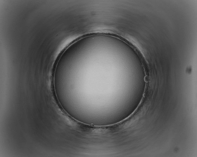 X0000100481277200806201621