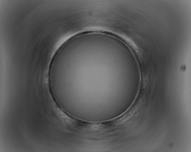 X0000100481279200806201621
