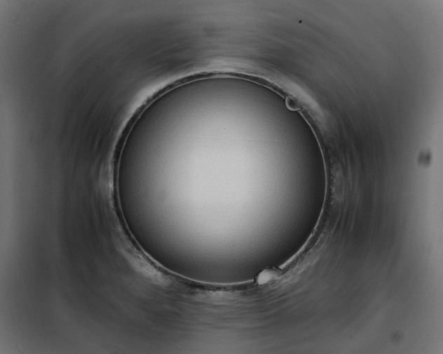 X0000100481280200806201621