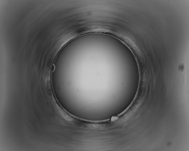 X0000100481281200806201621