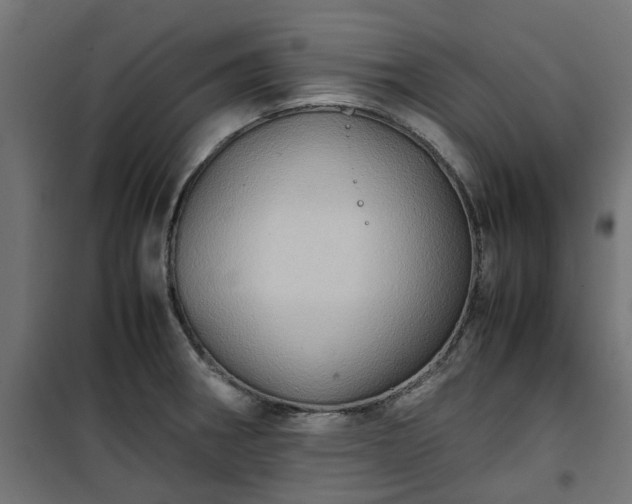 X0000100481282200806201621
