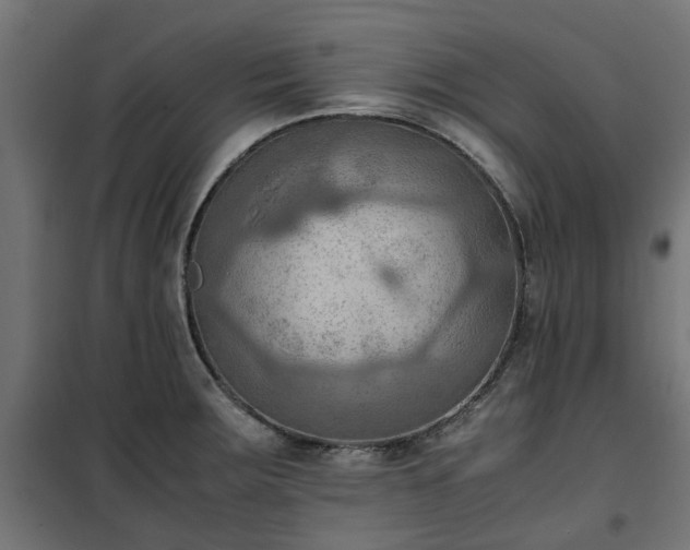 X0000100481283200806201621