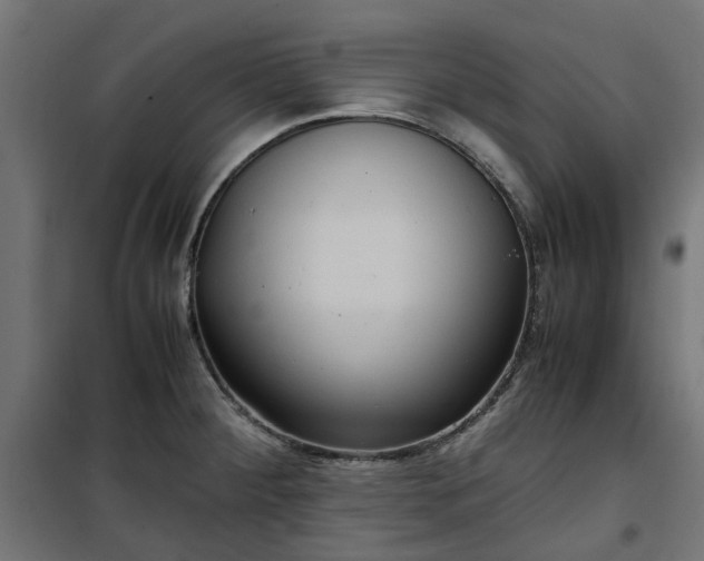 X0000100481284200806201621