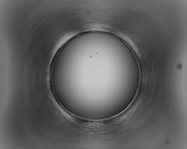 X0000100481285200806201621