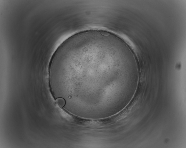 X0000100481287200806201621