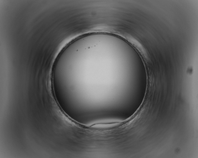 X0000100481288200806201621