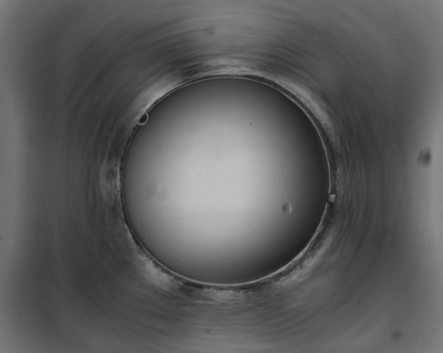 X0000100481289200806201621