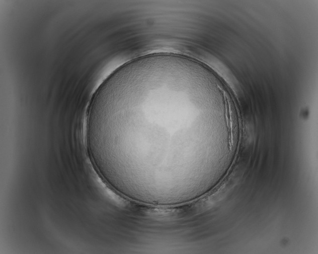 X0000100481290200806201621