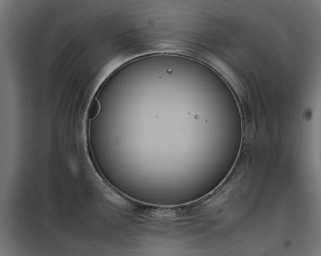 X0000100481291200806201621