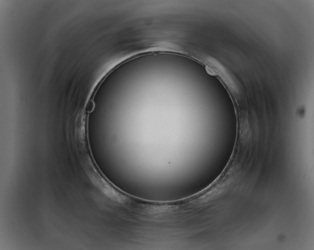 X0000100481292200806201621