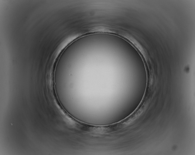 X0000100481293200806201621