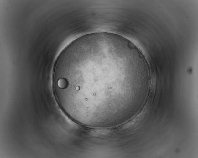 X0000100481294200806201621