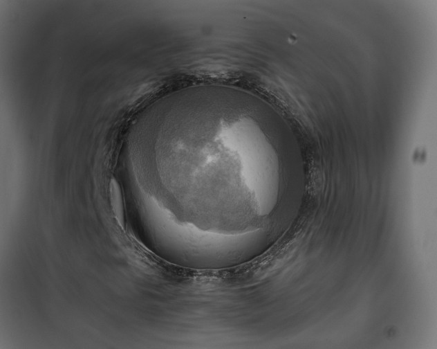 X0000100481297200806201620