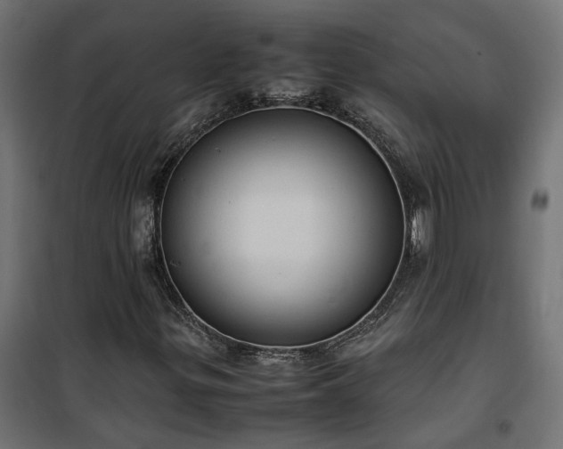 X0000100481299200806201620