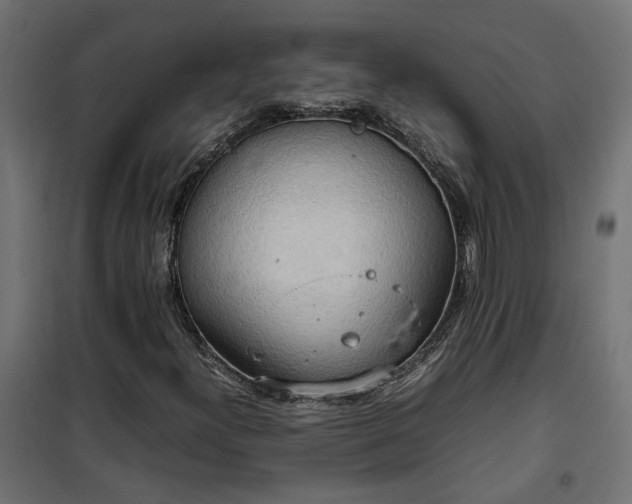 X0000100481300200806201620