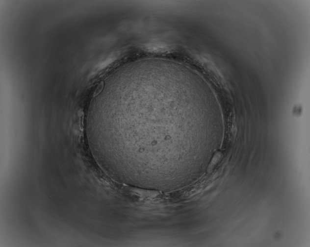 X0000100481301200806201620