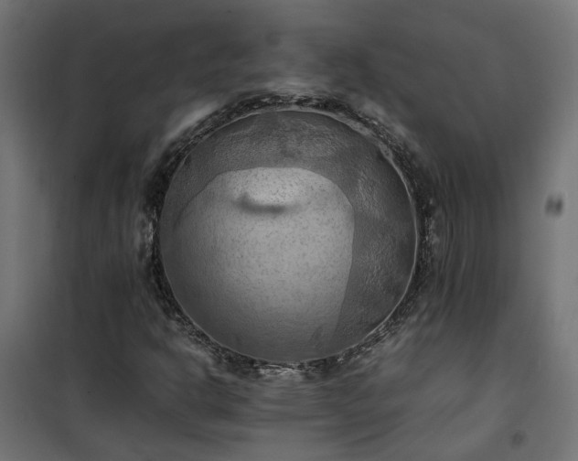 X0000100481302200806201620