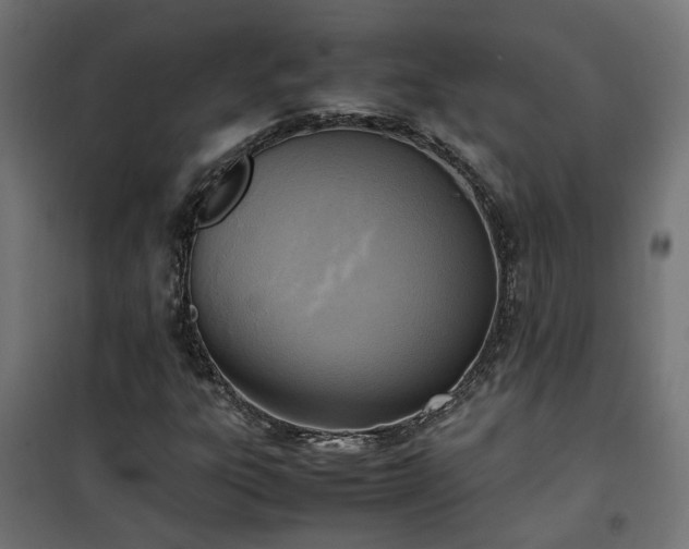 X0000100481303200806201620