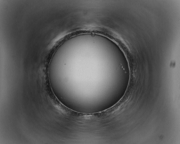 X0000100481304200806201620